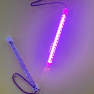 ال ای دی صورتی