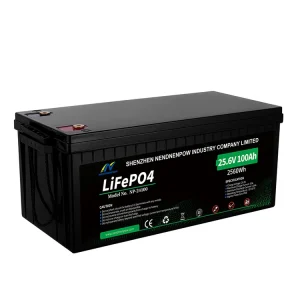 باتری لیتیومی 24 ولت 100 آمپر np24100